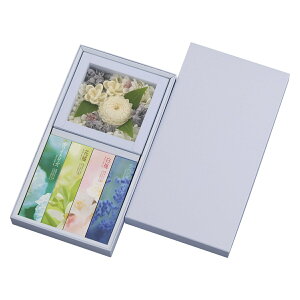 y/20Zbgz t[{bNXMtg() ×20