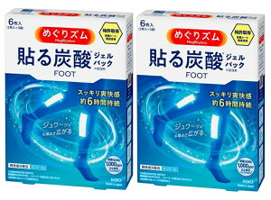 y/2Zbgz߂Y \Y_WFpbN FOOT x_[~g̍ 6 ×2Zbg