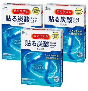 y/3Zbgz߂Y \Y_WFpbN FOOT x_[~g̍ 6 ×3Zbg