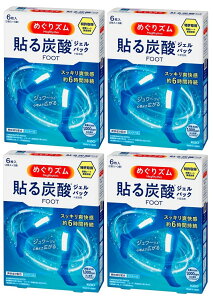 y/4Zbgz߂Y \Y_WFpbN FOOT x_[~g̍ 6 ×4Zbg