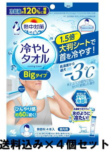 y×4zѐ M΍ ₵^I Big^Cv 4{×4Zbg