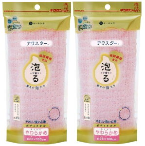 yE܂Ƃߔ2z[lV AX^[ 炩 sN(1)×2Zbg(zwsj