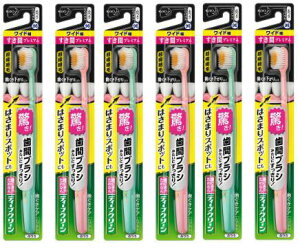 y×6{zԉ fB[vN[nuV ԃv~A RpNgCh ӂ×6{