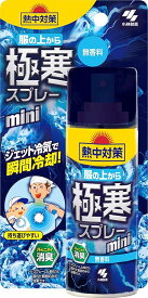 熱中対策 服の上から極寒スプレー ミニ 無香料 93ml