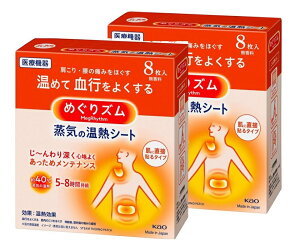 y/2Zbgzԉ ߂Y C̉MV[g ɒړ\^Cv 8 ×2