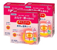 【送料込/3個セット】花王 めぐりズム 蒸気の温熱シート 下着の内側面に貼るタイプ 5枚 ×3個