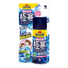 熱中対策 服の上から極寒スプレー ミニ 無香料 93ml