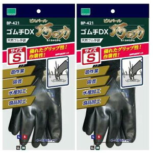 y×2ozIJg VR SDX I̗ ubN S×2oZbg