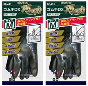 y×2ozIJg VR SDX I̗ ubN M×2oZbg