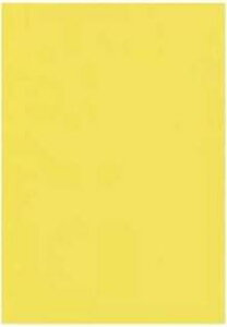 yzJ[Rs[p F B5/20i݌ɕî߃Pj*