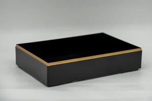 9.5pZqd@ihȂj{̂̂݁@y|WeBuXgΉzy݌ɂ̂݁zy`@^@d@ٓ@do@@@@eCNAEg@A@ezy{