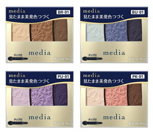 fBA (Media) OfJ[ ACVhEN BR1 / BL2 / PU3 / Jl{E Kanebo