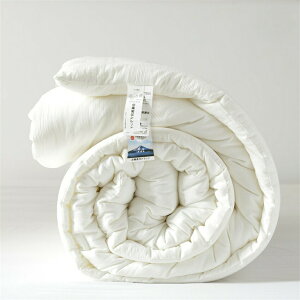 y~pz|zc |ӂƂ R h_j 100 ʋC K tďH~