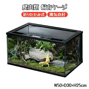 ঒ P[W ܂肽ݎ OXeE W50×D30×H25cm JtghA CǍD ঒ށEގe gJQ/N/JGT///^/ȂǓKp