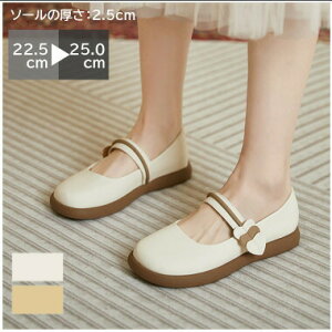 [t@[ C fB[X XNGAgD 2.5cm\[ tbg R L y _炩 炭 Vv ~ _炩 ɂȂ R[f t  H ~ d d ʊw ʋ ItBX 