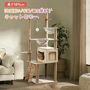 Lbg^[ L^[ ؐ  ^L 185cm VRTCUR ͂ȑω׏d L ^nEX L̕ u ]|h~ gȒP 萫 ܂Ƃ