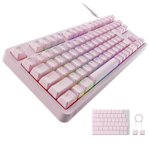 �G���R�� �Q�[�~���O�L�[�{�[�h V-custom VK310S �L�� RGB �e���L�[���X ���J�j�J�� �l�I�N���b�`�L�[�L���b�v �⎲ �X�s�[�h���j�A USB�|�[�g���� �s���N TK-VK310SPN