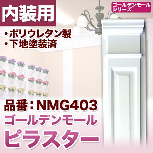 NMG403�bPU���Ǒ����t���@�S�[���f�����[���@�s���X�^�[(�R����)�@2200×178×60mm�y�A���i�z