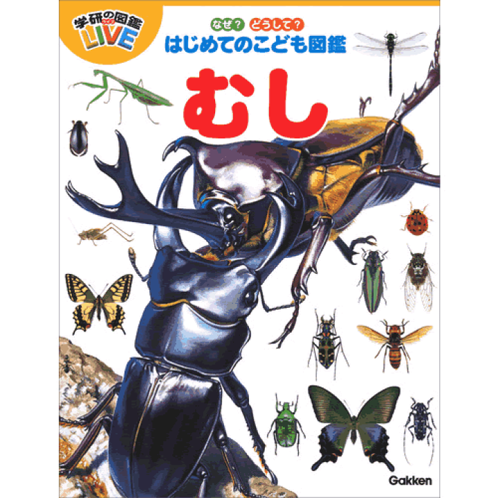 なぜ？どうして？はじめてのこども図鑑 既5巻 絵本・児童書・図鑑