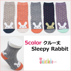y1̔zLbY SleepyrbgN[\bNX C 5color 14-16cm 16-18cm 18-20cm 20-23cm WjAV[g\bNX