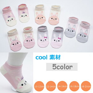 y1̔z rbgV[g\bNX 5color C14-16cm 16-18cm 18-20cm saintbebe \bNX WjA V[g\bNX xr[\bNX