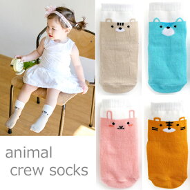 4color animalキッズ クルー丈ソックス キッズ 靴下