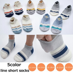 y1̔z CV[g\bNX 5color C12-20cm saintbebe \bNX WjA V[g\bNX xr[\bNX