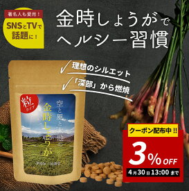 【3％OFFクーポン！！大決算セール開催中！】蒸し金時しょうが 粒タイプ 120粒 【送料無料】無添加・無農薬栽培された純粋な金時ショウガを使用！ しょうが ジンジャー 100％ 生姜 粒 サプリ 錠剤 国産 人気 生姜サプリ 金時生姜 金時しょうが 蒸し ダイエット