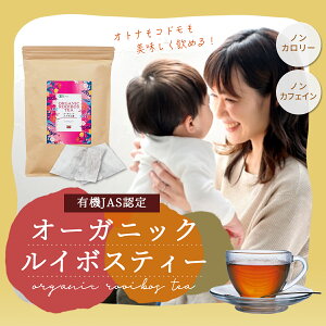 1000~ۂyL@JASFzI[KjbN C{XeB[ 80yz_͔| mJtFC J[[ F  Y eN  D   n[ueB[ 