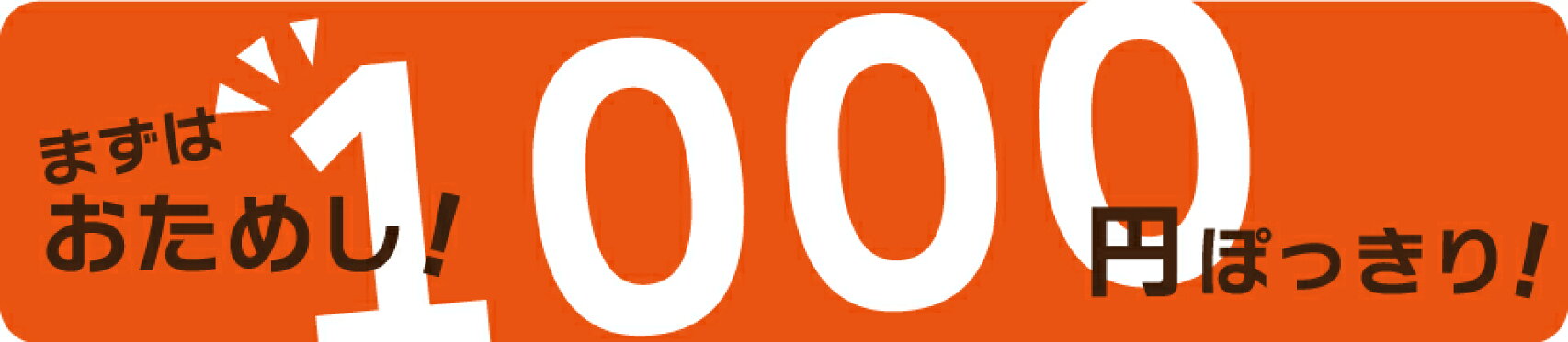 1000円ポッキリ特集