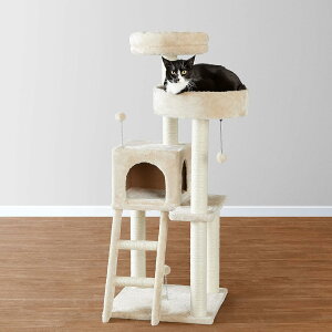 yAMAZONx[VbNzLbg^[  u ؐ VRTCUgp ȃXy[X (49 x 49 x 126 cm)