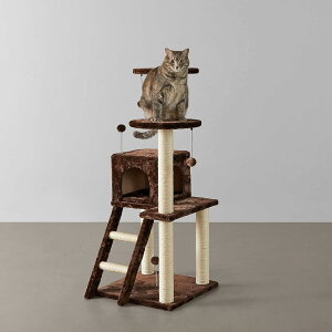 yAMAZONx[VbNzLbg^[  u ؐ VRTCUgp ȃXy[X 49 x 49 x 120 cm