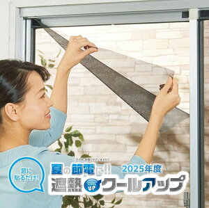 y2025NՔMN[AbvK㗝Xz6g ՔMN[Abv SEKISUI ϐ ՔMtB ZLXCՔMV[g ߓd 100cm×200cm ɓ\ ptB tBV[g KXtB 