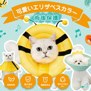 GUxXJ[ ybg  L   D p ӂӂ _炩 E֗ ybgpi pi rߖh~ ~h~ ی ی bt 