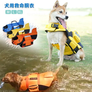 CtWPbg p ^  ^ ybgpCtWPbg ~ Q C  v[ ʋC  hbOEFA Lv ̕ ^ pCtWPbg p V