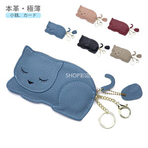 z {vfB[X  RCP[X ^ ~jz L[z_[t K J[hP[X `[ ~j|[` v y  D z  g₷   