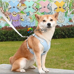 n[lX ^ Ȃ ^ DJ [ht x݌v  킢    n[lX ˋ@\  Ȃ ɂ EȂ Eɂ AEghA U o E