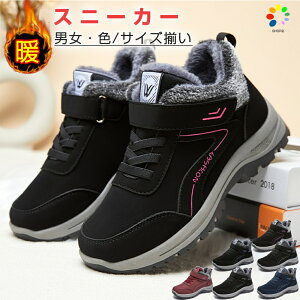 ~p Xj[J[ fB[X Y |A  3cm [gu[c Xm[V[Y {Au[c g  ӂӂ 傫TCY TCY ~  V[gu[c h 