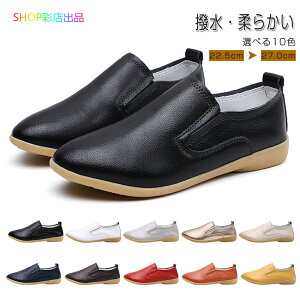 RtH[gV[Y ɂȂ Ȃ ₷ fB[X Xb| v C EFbW\[ RtH[g pvX _炩 tbgV[Y [q[  傫 