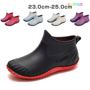 Cu[c fB[X V[g  [t@[ V[gCu[c l ʋ C y h  J V[Y C ʊw 20 30 40 50 ~J΍ _炩 ɂȂ [q[ 