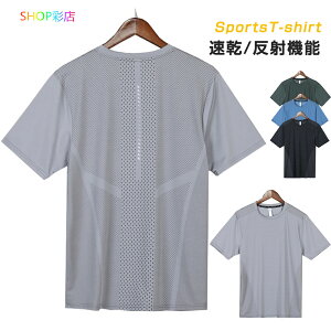 ySiΏ213OFFN[|zzz  TVc X|[cEFA  Y z hC X|[cEFA Y TVc n ˋ@\t Jbg\[ ʋC gbvX g[j