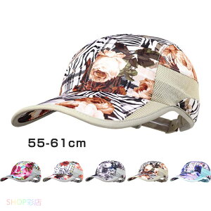 Lbv fB[X [ t Y 傫TCY uv   n bV bVLbv t jO ėp St  Xq fB[XLbv UVJbg q ʋ ʊw 