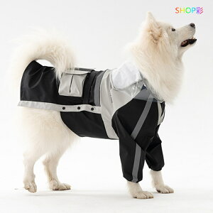 CEFA ^ ^ J Jbp CR[g t[ht hbOEFA ₷  Č t`uhbO uh[ go[ S[fgo[ O[gsj