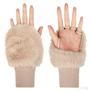 StO[u  fB[X H~ t@[   St O[u p t[X  Jo[ lCOK X}z  ΍ St 킢 h ӂӂ X|[