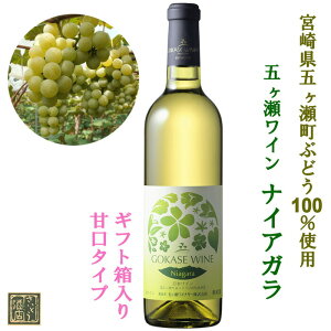 ܃C iCAK 720ml C Ì C  ϔ V {胏C C iCK {茧 ܃ YC a v[g NX}X Ε Mtg 