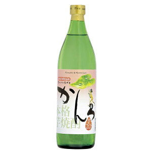 Ē X[p[Cg  20x 900ml Ē Ē ĒnC{[ a v[g NX}X Ε Mtg  bZ[WJ[h l ̂  lC ݔ׃Zbg { 