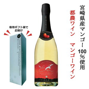 s_C Xp[NOC }S[ 750ml }S[C  ϔ p[eB[ ̃C {胏C Y { }S[ Vp a v[g hV̓ Mtg