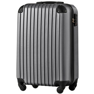 SS�T�C�Y �@���������� �L�����[�P�[�X �X�[�c�P�[�X �L�����[�o�b�O TSA���b�N���� ���^ 2�� 3��