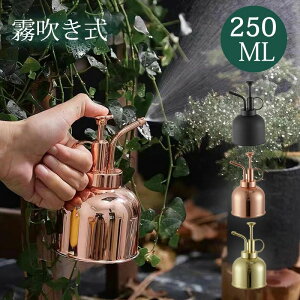 傤 W[  Xv[{g 250ml XeX ϗtA K[fjO | |     A   O CeAyz