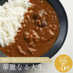 ČēuCv̋J[ DAIYAMOND CURRY`ؗȂl` ggpE` 1H 250g 5Zbg Y@ ̃SSiaj